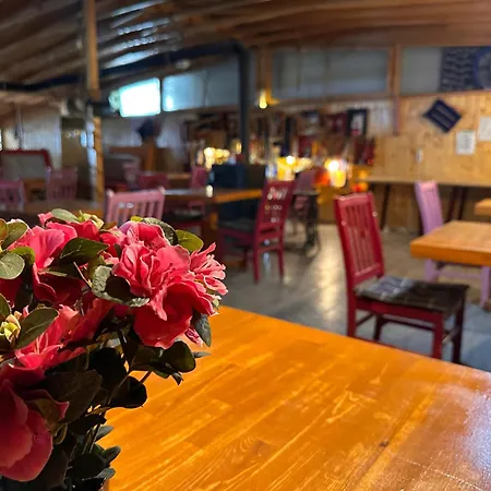 Royal Ezel מלון *